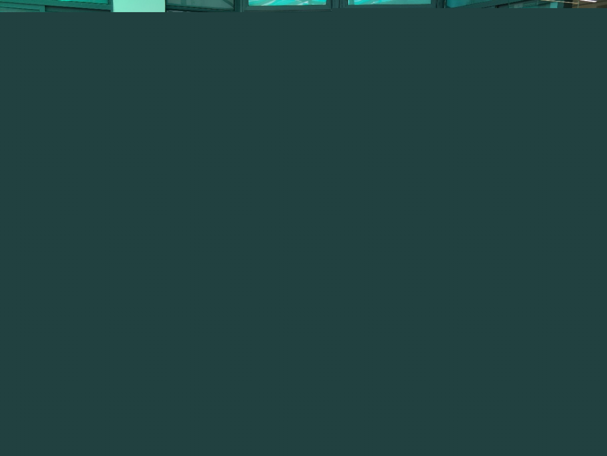 image-20240423084212-3
